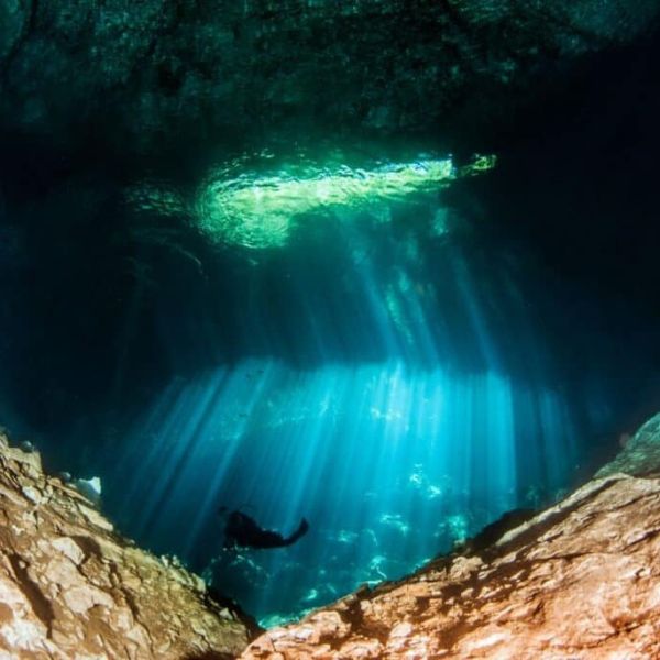 Cenote-Eden-Shutters